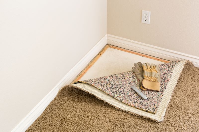 Carpet Pad Replacement