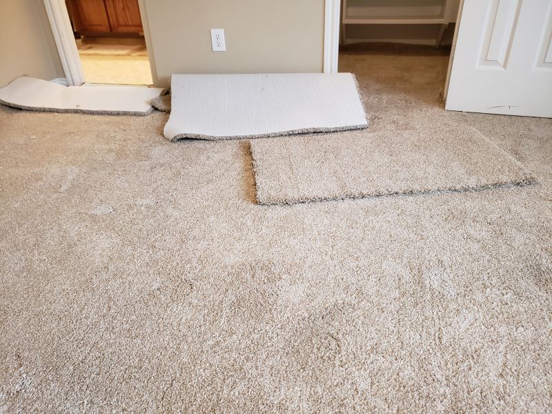 Carpet Burn Repair in Kansas City, KS