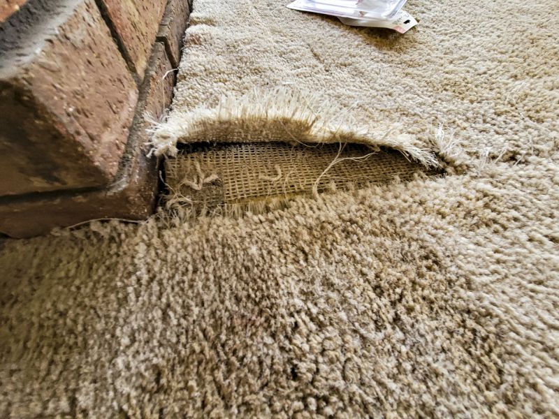 Carpet Repair Service in Littleton, CO