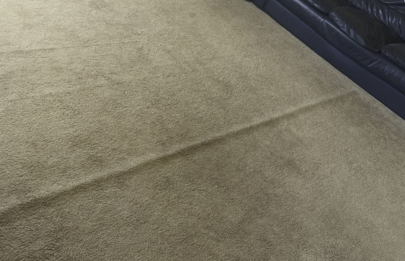 Pet Stain Carpet Repair in Overland Park, KS