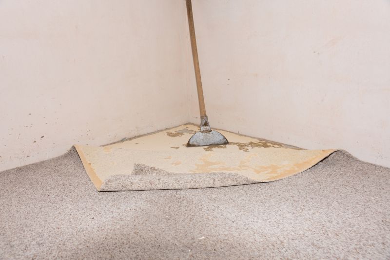 Residential Carpet Repair in Alpharetta, GA